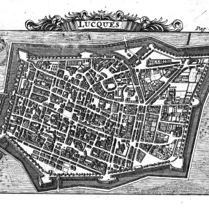Aerial View Print of Lucca, Tuscany Aerial View Print of Lucca, Tuscany