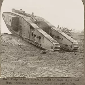 Male Tadpole Tank, Wwi