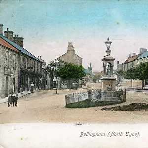 Northumberland Photographic Print Collection: Bellingham