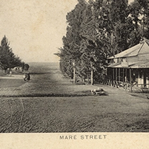 Mare Street, Zoutpansberg, Transvaal, South Africa