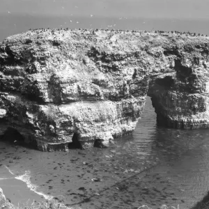 Marsden Rock Print, County Durham, England, circa BC