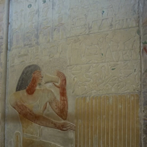 Mastaba of Ptahhotep and Akhethotep. Egypt
