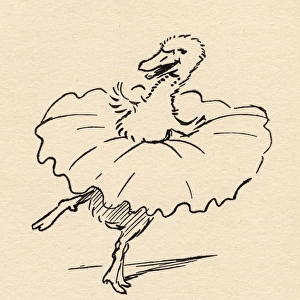 Master Quack the duck dressed as a ballerina