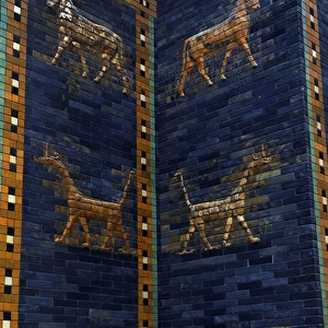 Mesopotamian art. Neo-Babylonian. Ishtar Gate. Pergamon Mus