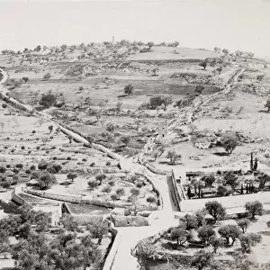 Mount of Olives, Jerusalem, Palestine, modern Israel
