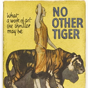 Mystery - No other Tiger