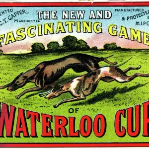 Waterloo Cup Greyhound Racing Board Game Print, 1909 Waterloo Cup Greyhound Racing Board Game Print, 1909