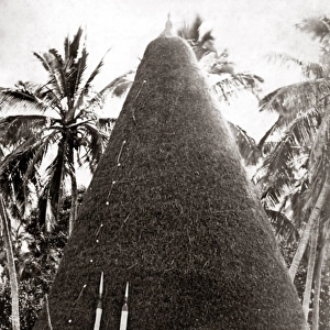 Native hut, New Caledonia, circa 1880s