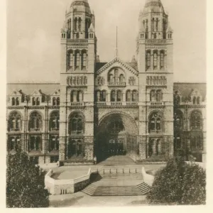 Natural History Museum Print, circa 1910s Natural History Museum Print, circa 1910s