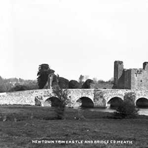 Newtown Trim Castle and Bridge, Co. Meath