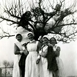Nurses up a tree