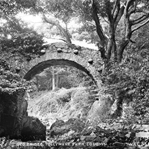 Old Bridge, Tollymore Park, Co Down