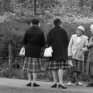 Four old ladies chat in Abbey Gardens, Bury St. Edmunds