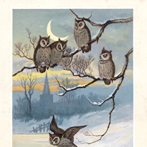 Five owls in moonlight on a Christmas card