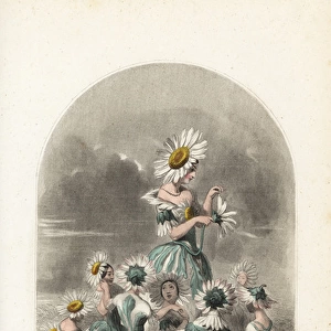 Oxeye daisy flower fairies wearing flower hats