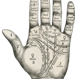 Palmistry Hand Print Palmistry Hand Print
