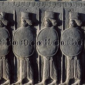 Persian Soldiers with Shields
