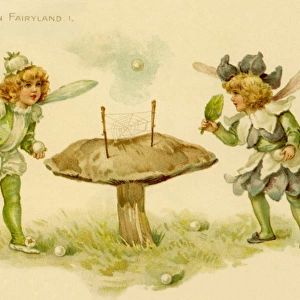 Ping Pong in Fairyland