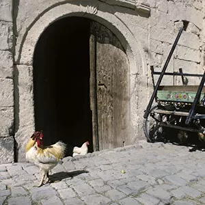 Poultry and old horse cart outside stone farm barn, Uchisar