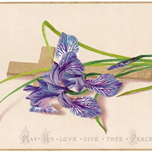 Purple lily and a cross on an Easter card