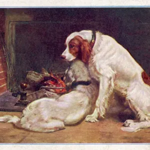 Red and White Irish Setters by the Fireplace Print Red and White Irish Setters by the Fireplace Print