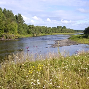 River Lalya valley, a typical Siberian river