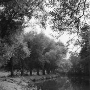 The River Wey Print: A 1960s View of the Navigation River The River Wey Print: A 1960s View of the Navigation River