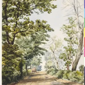 James Moore Print: Road at Barnhill, Comber (1850) James Moore Print: Road at Barnhill, Comber (1850)
