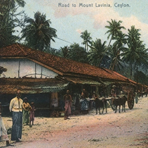Road to Mount Lavinia, Ceylon (Sri Lanka)