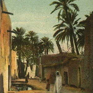 A road in Old Biskra. With date palms