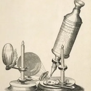 Robert Hooke's Microscope Print Robert Hooke's Microscope Print