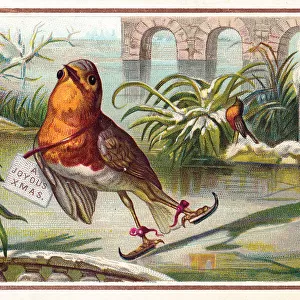 Robin skating on a Christmas card