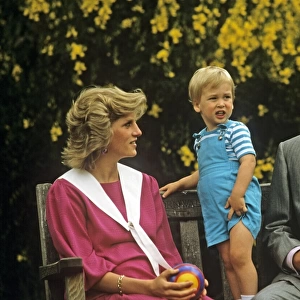 Royal Family- Prince Charles, William and princess Diana