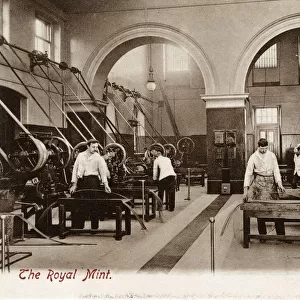 The Royal Mint - The Cutting Room