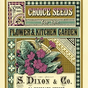 S Dixon & Co seed catalogue
