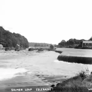 Salmon Leap, Coleraine Print - Foyle Weir Scene Salmon Leap, Coleraine Print - Foyle Weir Scene