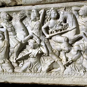 Sarcophagus. Marble. Tel Mevorah. Battle between Amazons