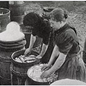 Scotch Herring Women Workers 1902
