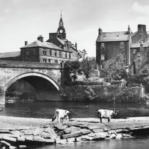 Print of Annan River Landscape Print of Annan River Landscape