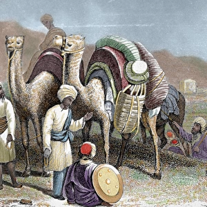 Silk Road. Caravan of camels resting. Engraving