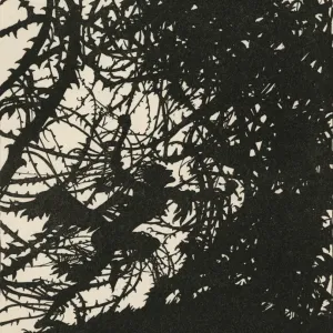Arthur Rackham's Sleeping Beauty Print: Thorns of the Castle