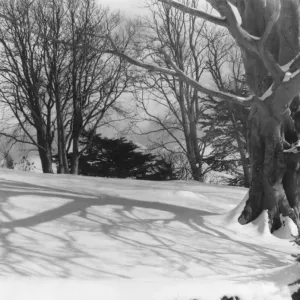 Wales Snow Shadows Print 1930s