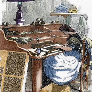 The snuff industry. Woman rolling cigars. France