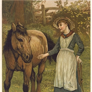 Social / Girl & Horse 19C