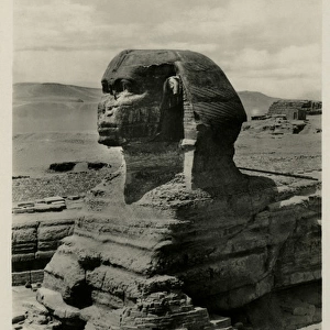 The Sphinx, Giza, Cairo, Egypt