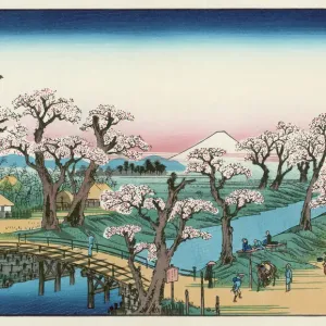 Mount Fuji Springtime Print Mount Fuji Springtime Print