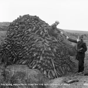 Early 1900s Northern Ireland Print - Man and Boy Stacking Turf Early 1900s Northern Ireland Print - Man and Boy Stacking Turf