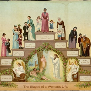 Stages of Woman