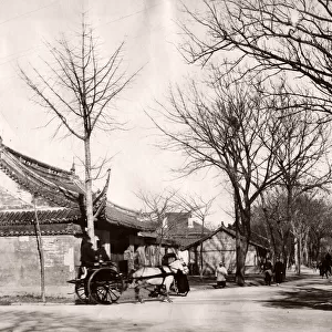 Street corne, r pony and trap likely Shangahi, China, c. 1890 s