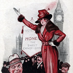 Suffragette on the Hustings